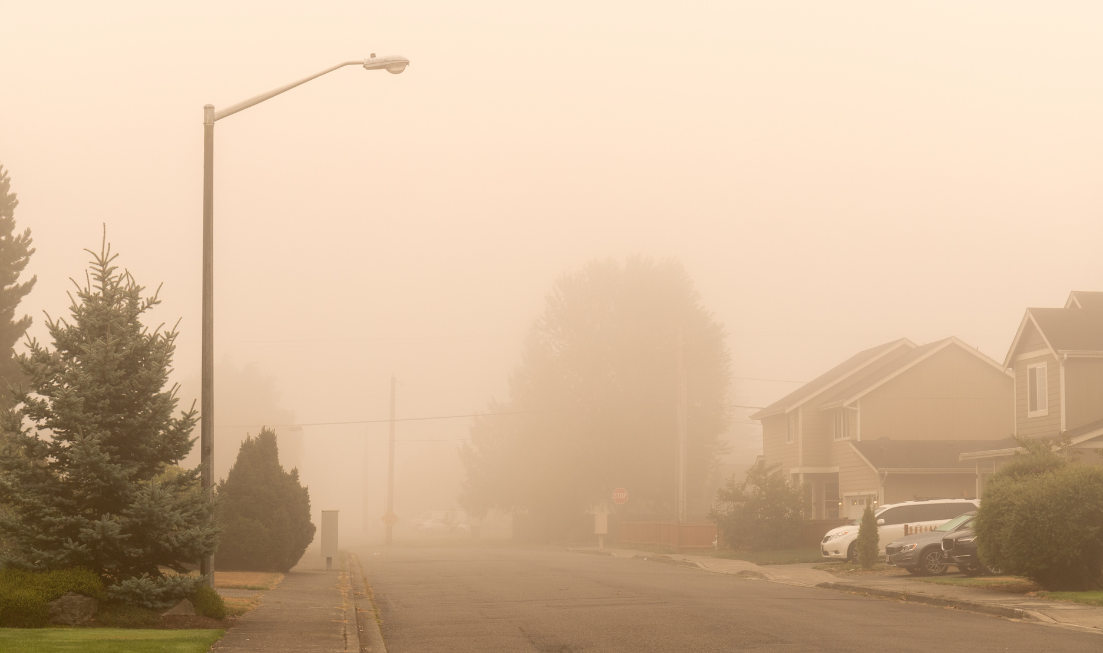A residential street scene through a thick yellow-tinged veil of smoke.