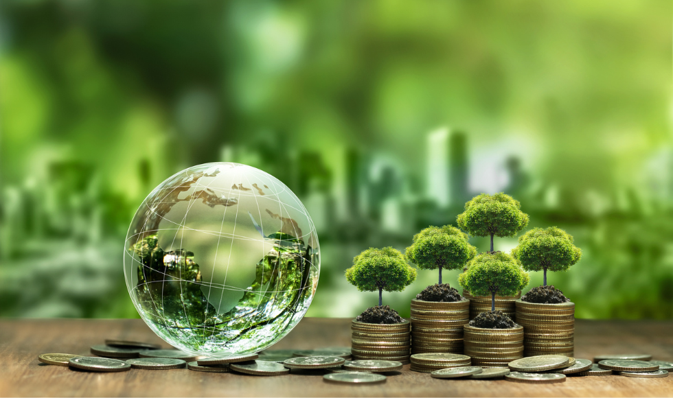 An illustration showing a glass globe alongside stylized stacks of currency and miniature trees.