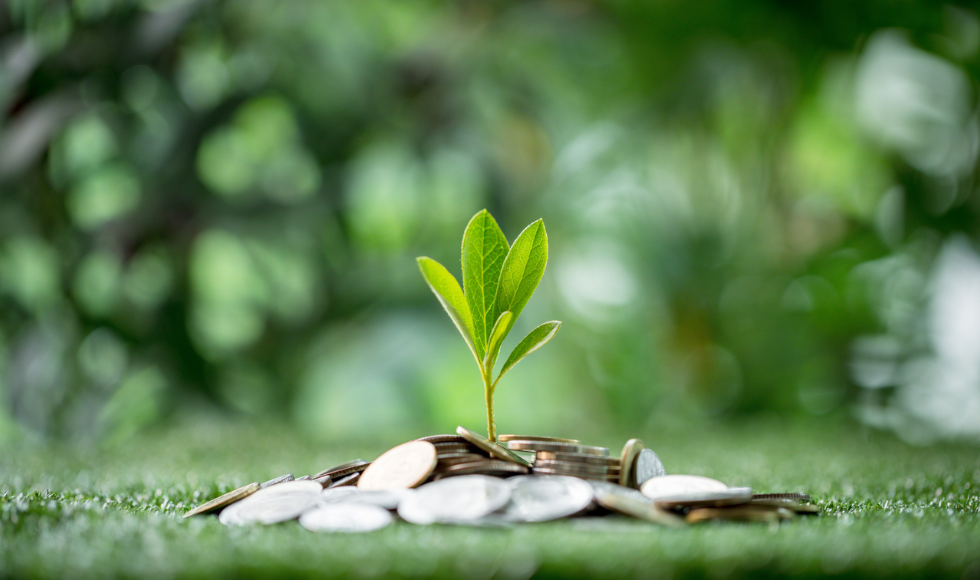 A small green plant grows from a pile of change, sitting on a green landscape.